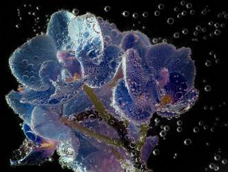 Similar image 20988737