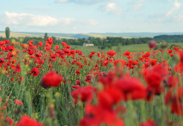 Similar image 20989017