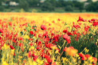 Similar image 20989018