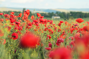 Similar image 20989019