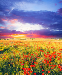 Similar image 20989020