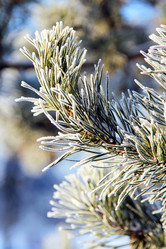 Similar image 20989024