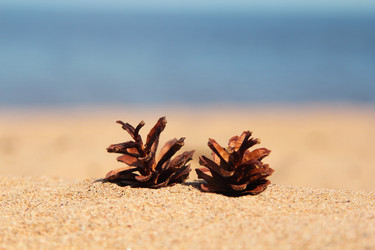 Similar image 20989025