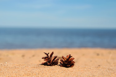 Similar image 20989026