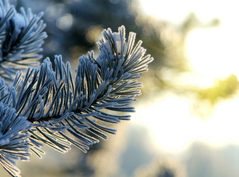 Similar image 20989029