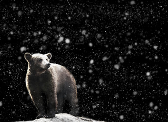 Similar image 20989030