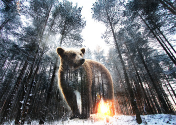 Similar image 20989035