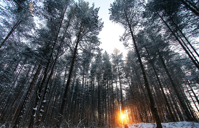 Similar image 20989036