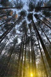 Similar image 20989038