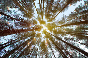 Similar image 20989039