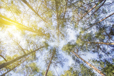 Similar image 20989043