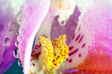 Similar image 20989068