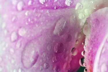 Similar image 20989069