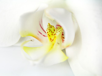 Similar image 20989071