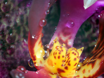 Similar image 20989072