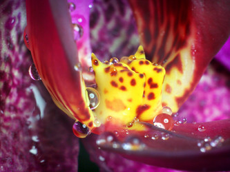 Similar image 20989073