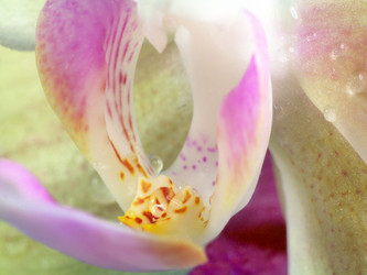 Similar image 20989074