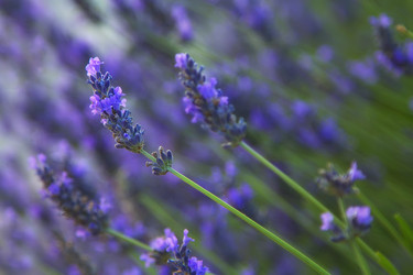 Similar image 20989082