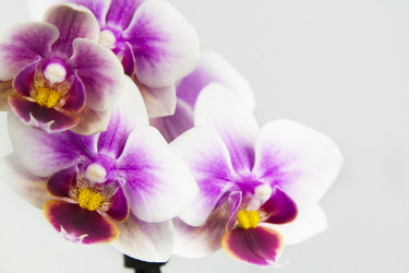 Similar image 20989554