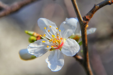 Similar image 20989560