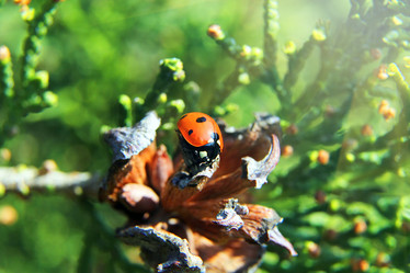 Similar image 20989561