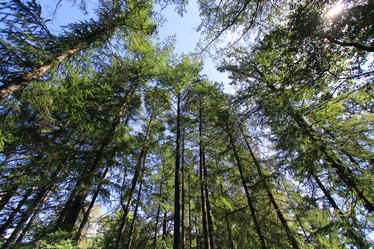 Similar image 20989564