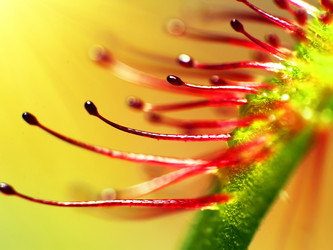 Similar image 20988749