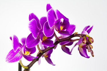 Similar image 20988753