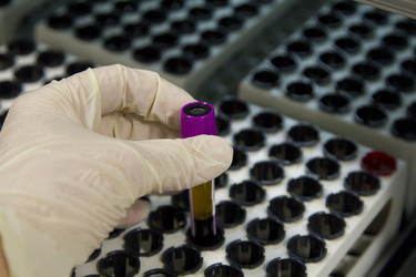 Similar image 20988754