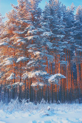 Similar image 20988757