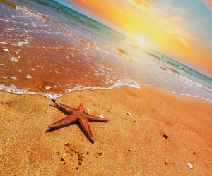 Similar image 20988761