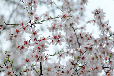 Similar image 20988767