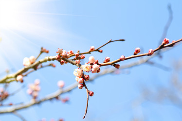 Similar image 20988768