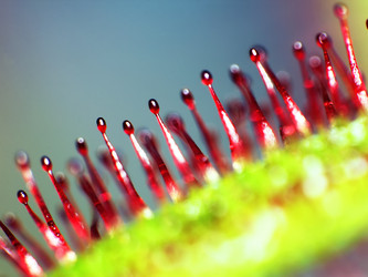 Similar image 20988772