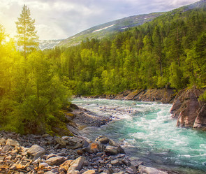 Similar image 20988786