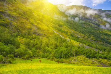 Similar image 20988790