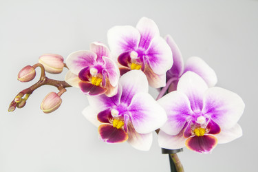 Similar image 20989085