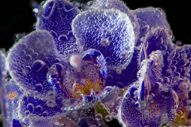 Similar image 20989087