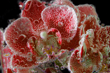 Similar image 20989088