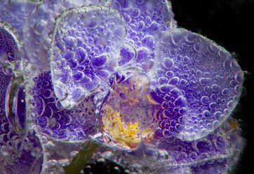 Similar image 20989090