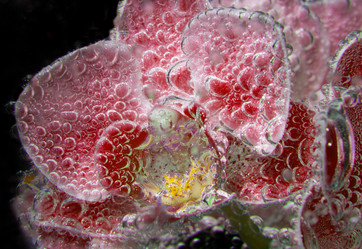 Similar image 20989091