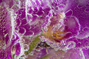 Similar image 20989092