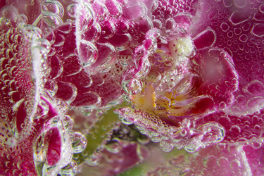 Similar image 20989093