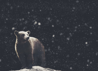 Similar image 20989095