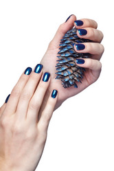 Similar image 20971597