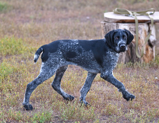 Similar image 20979244