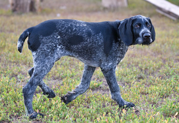 Similar image 20979248