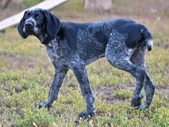 Similar image 20979249