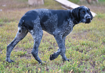 Similar image 20979250