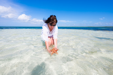 Similar image 20971253